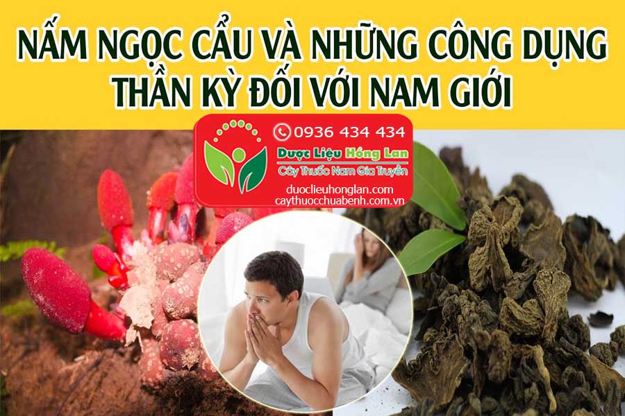 NAM-NGOC-CAU-TOA-DUONG-CHUA-BENH-YEU-SINH-LY-VA-LIET-DUONG-CTY-DUOC-LIEU-HONG-LAN